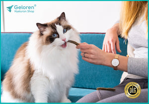Dental Sticks für Katzen mit Hyaluron | Kelparen